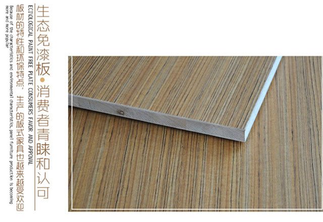 绿天使定制衣柜门 爆款